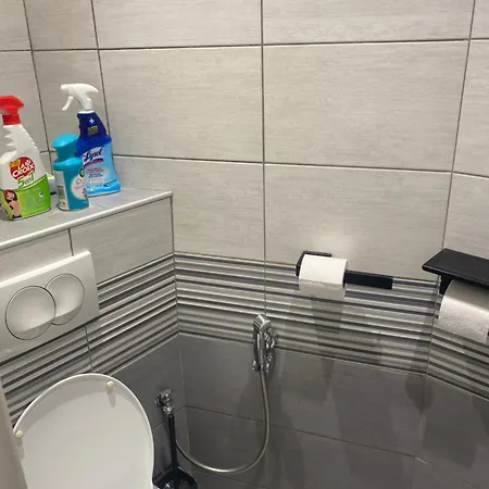 Pansiyon Zola Villeurbanne